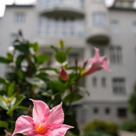 Arcus Garden Hotel 3*