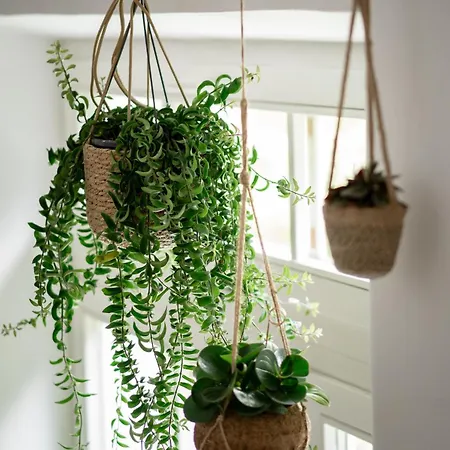 Arcus Garden Отель