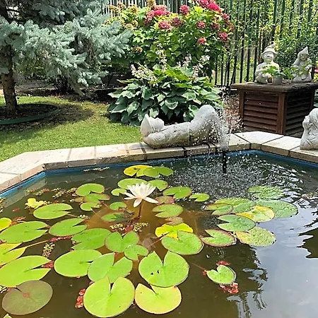 Arcus Garden