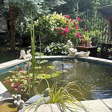 Arcus Garden