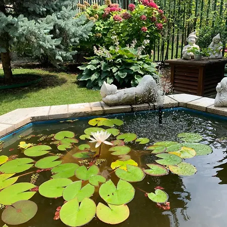 Arcus Garden Отель