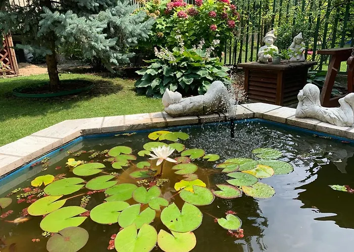 Arcus Garden فندق